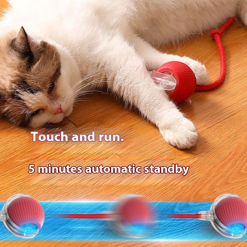 THE ULTIMATE PET PARENT SUITE (All-in-One)