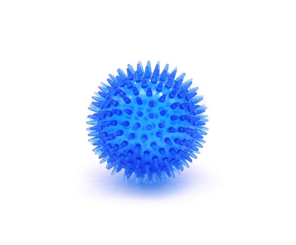Large Dental Spiky Ball