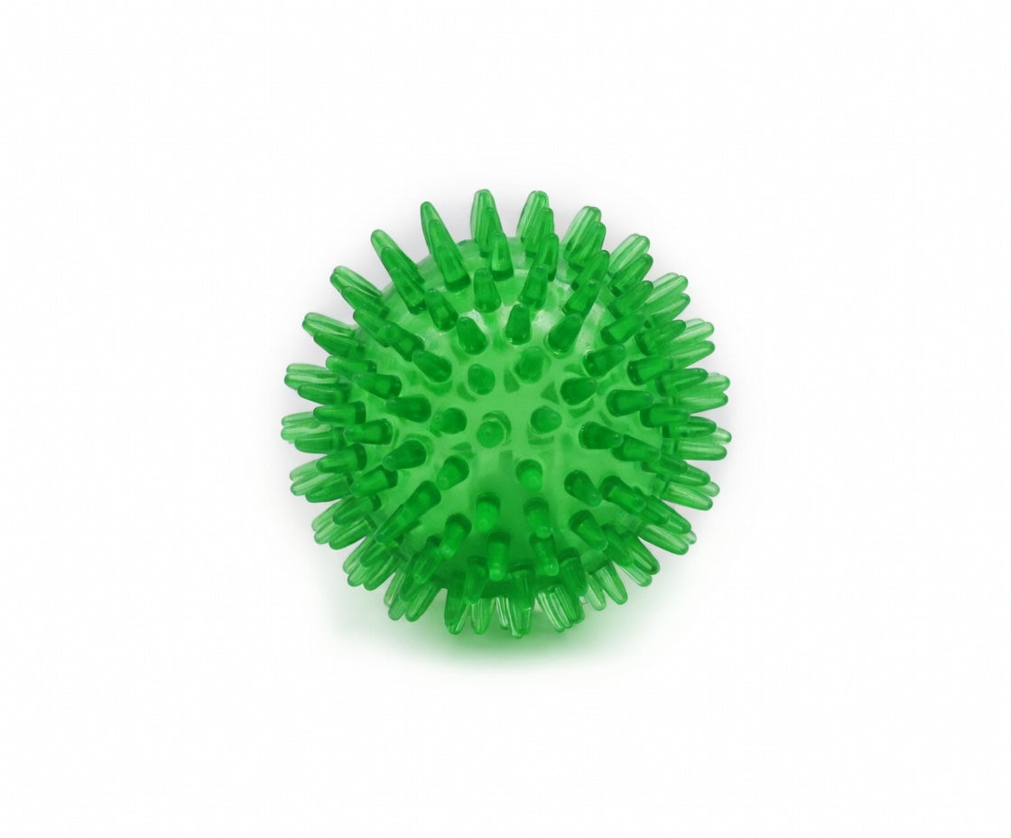 Large Dental Spiky Ball