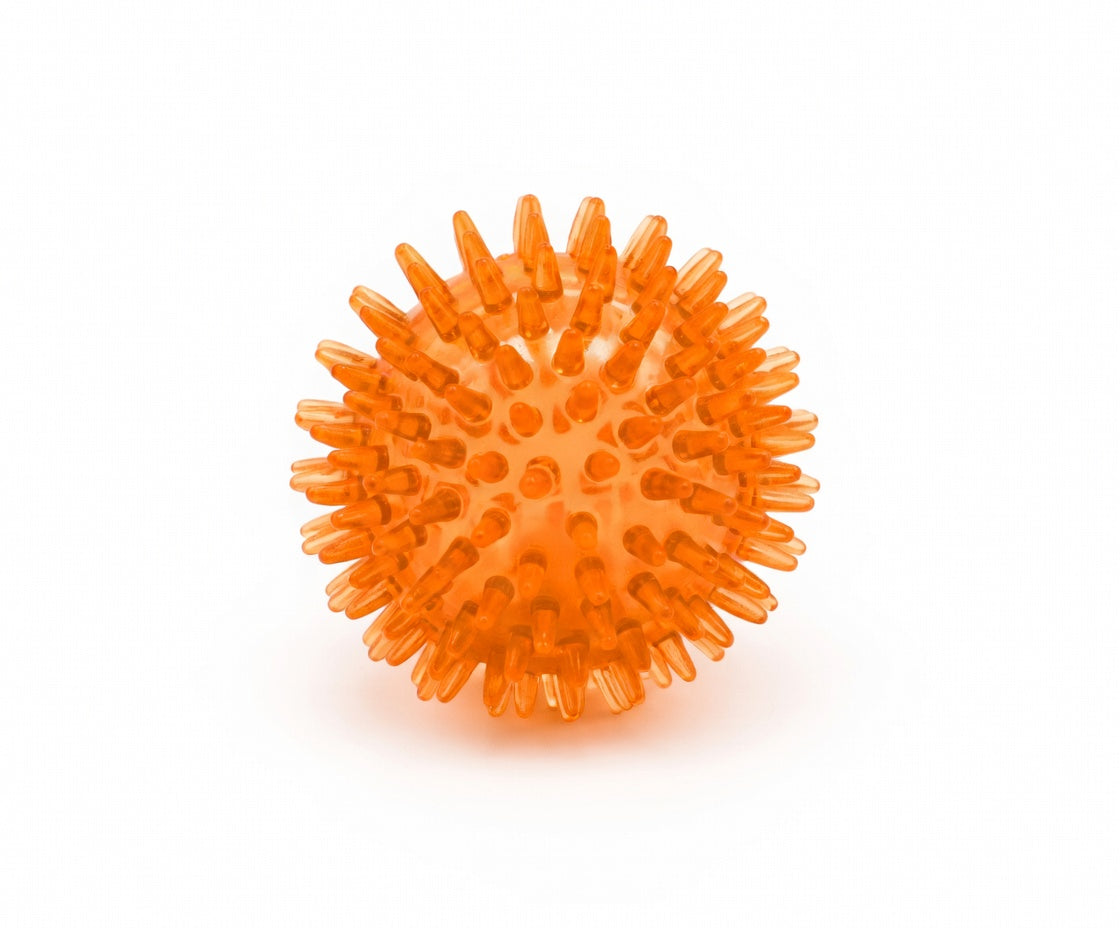 Large Dental Spiky Ball