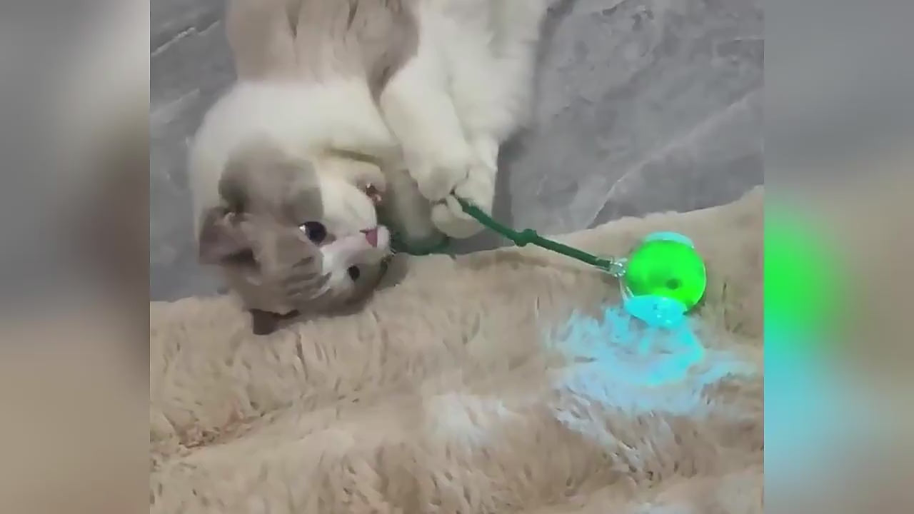 Smart Rolling Ball + Plush Cover