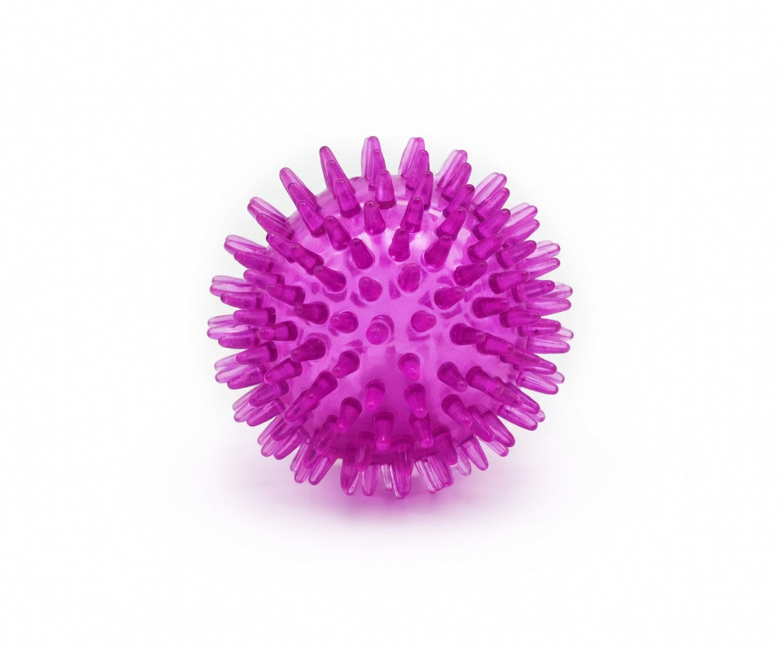 Large Dental Spiky Ball