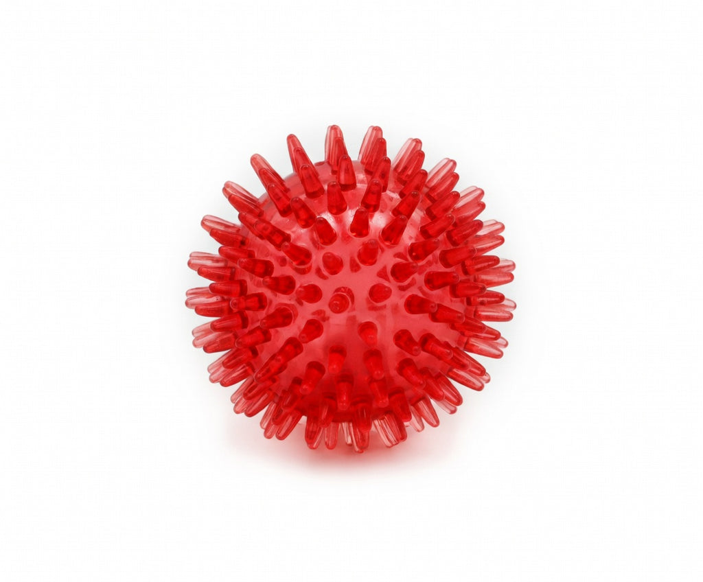 Large Dental Spiky Ball