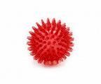 Large Dental Spiky Ball
