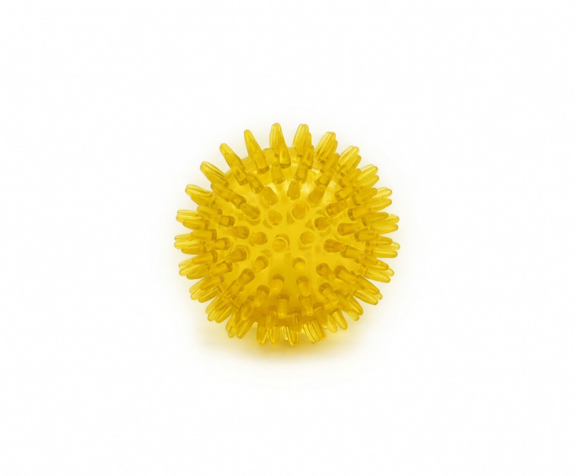 Large Dental Spiky Ball